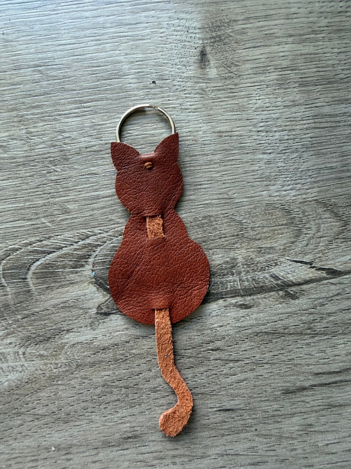 Katze