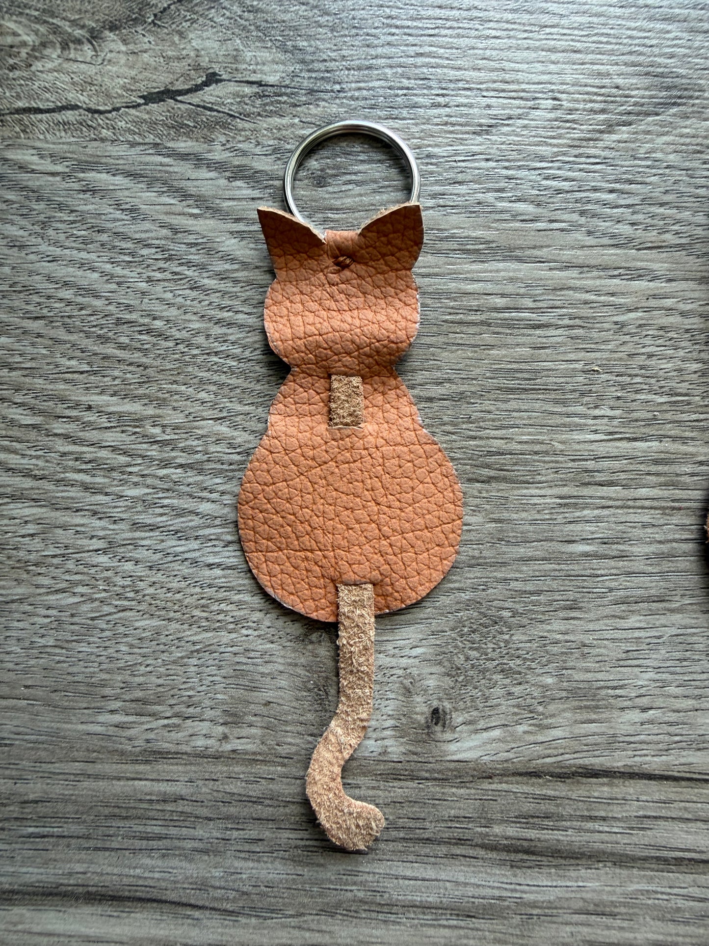 Katze