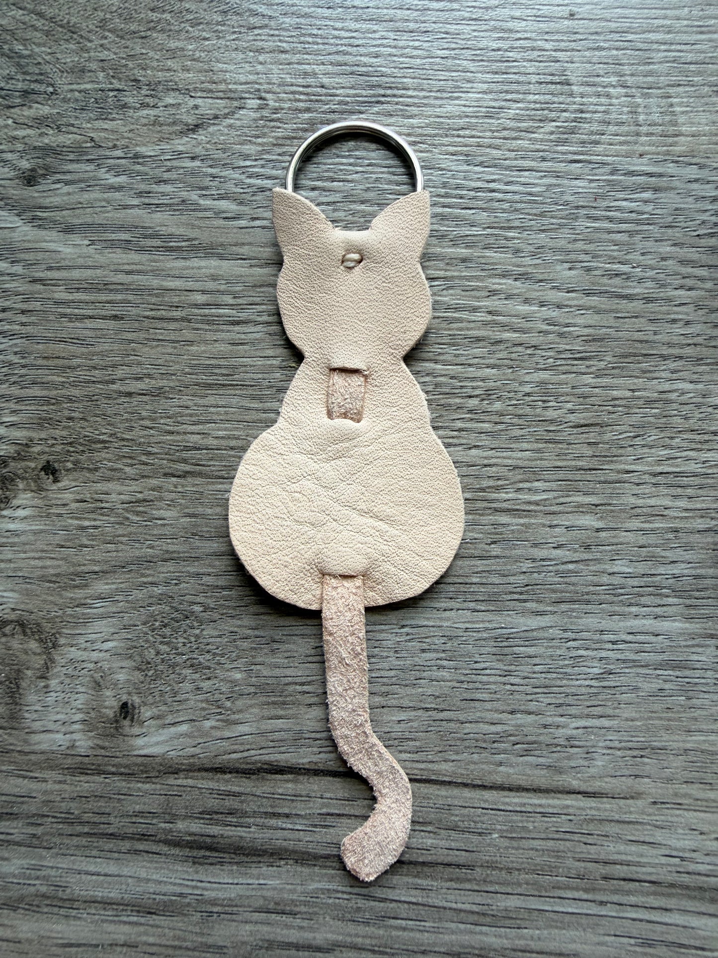 Katze
