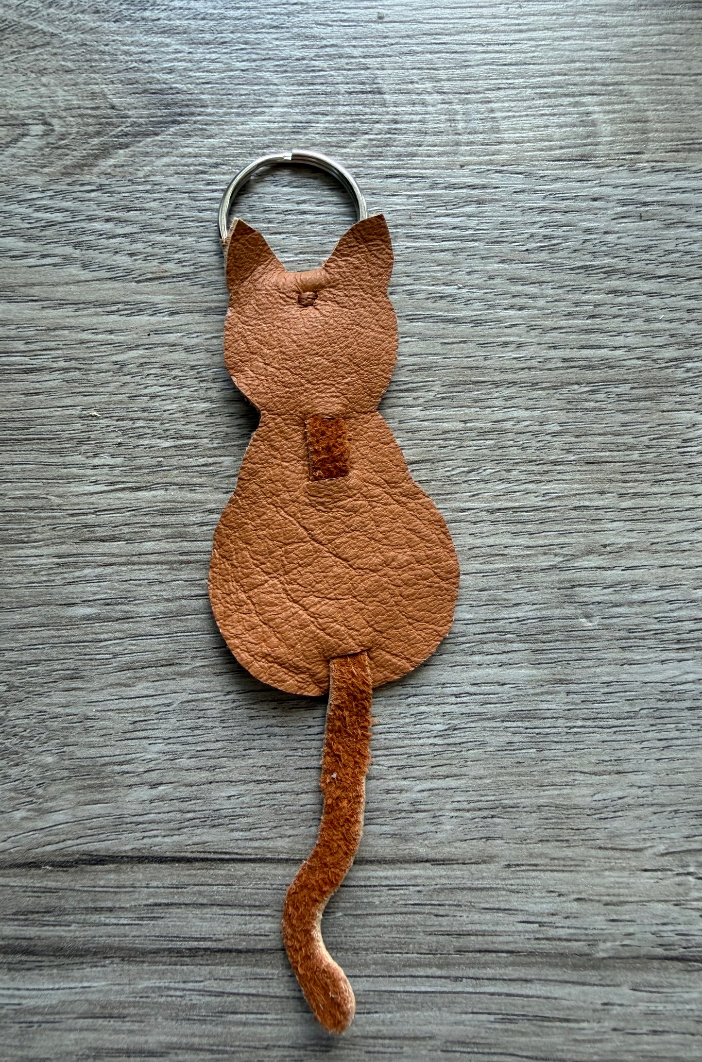 Katze