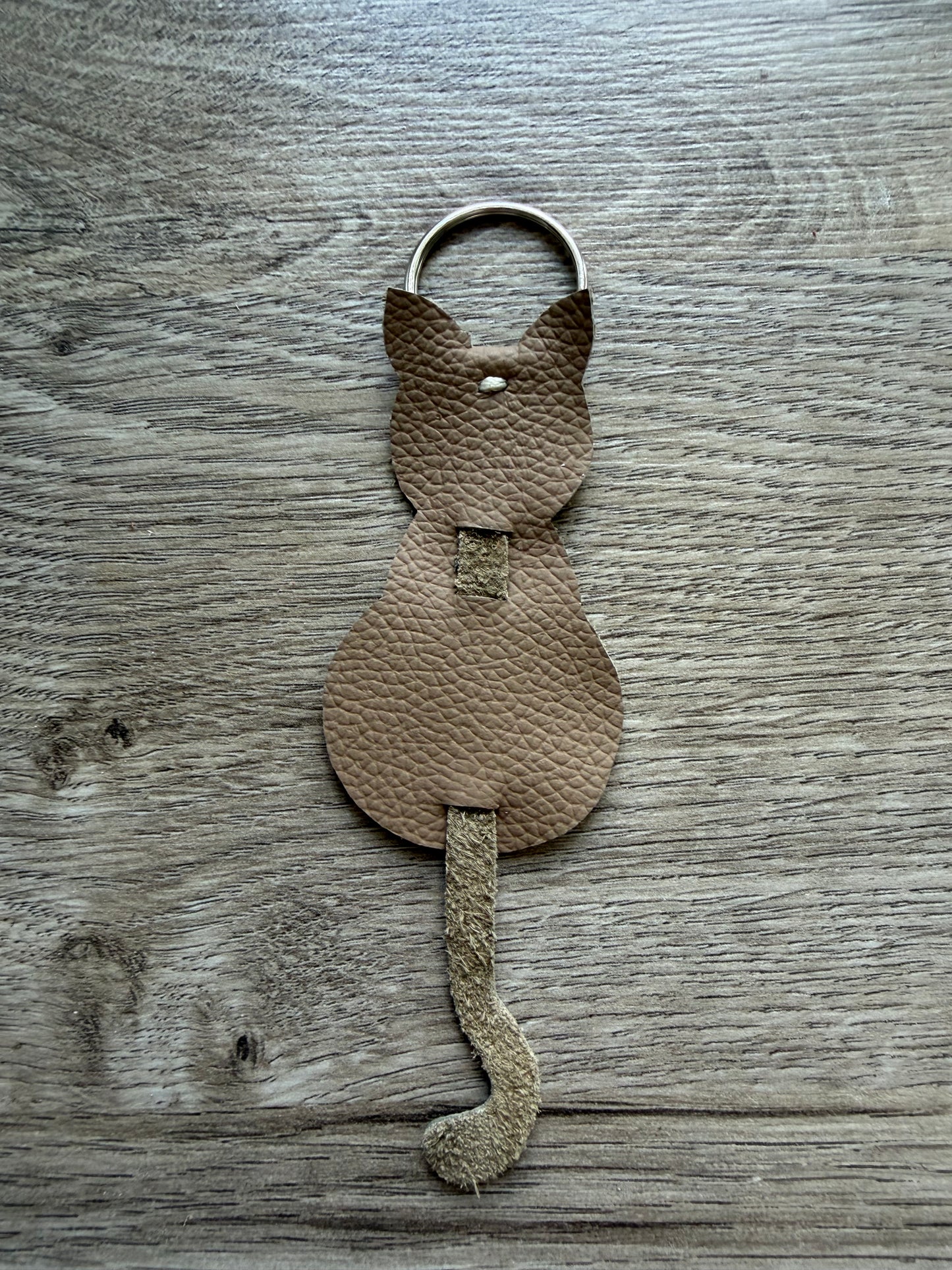 Katze