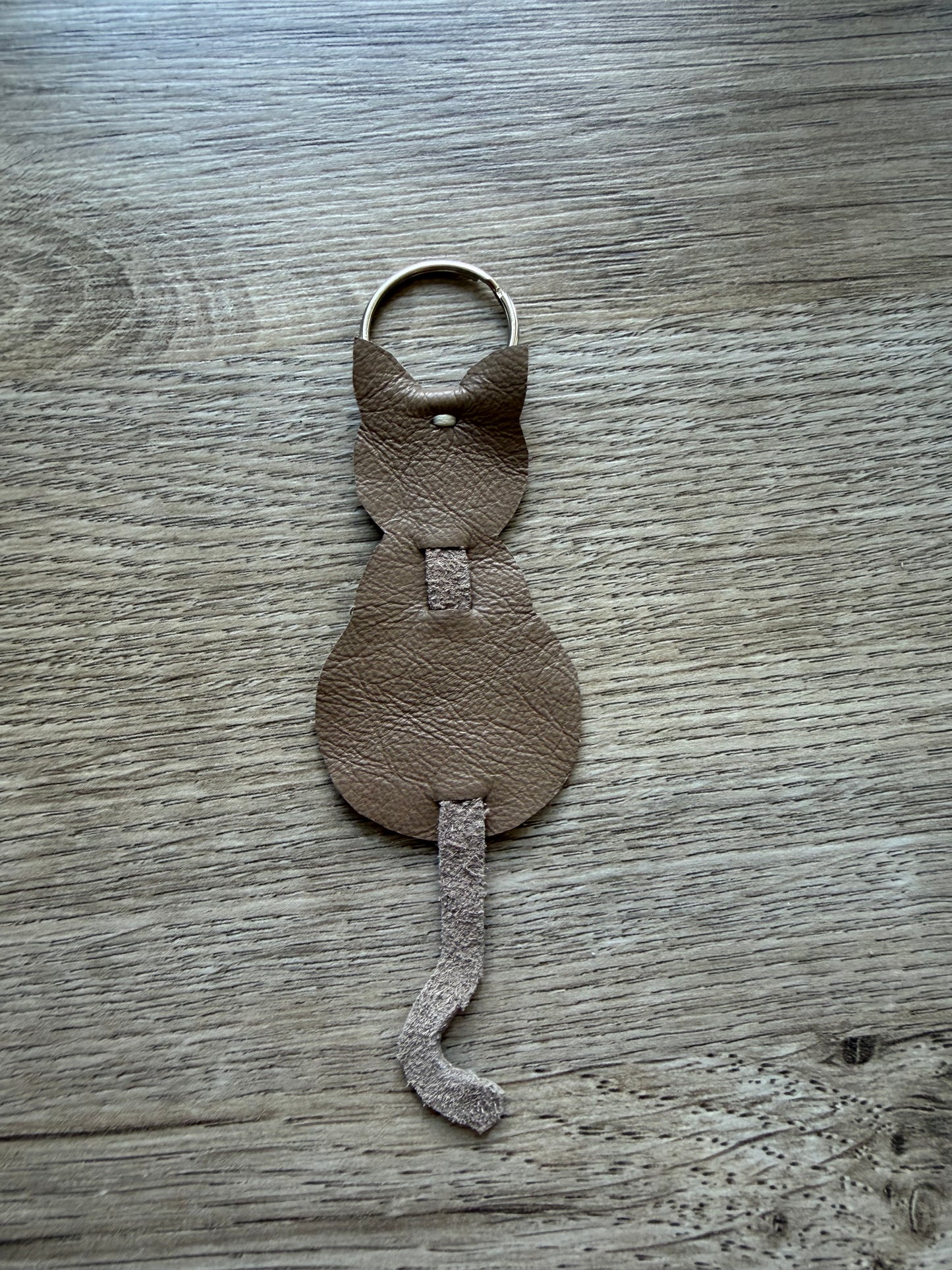 Katze