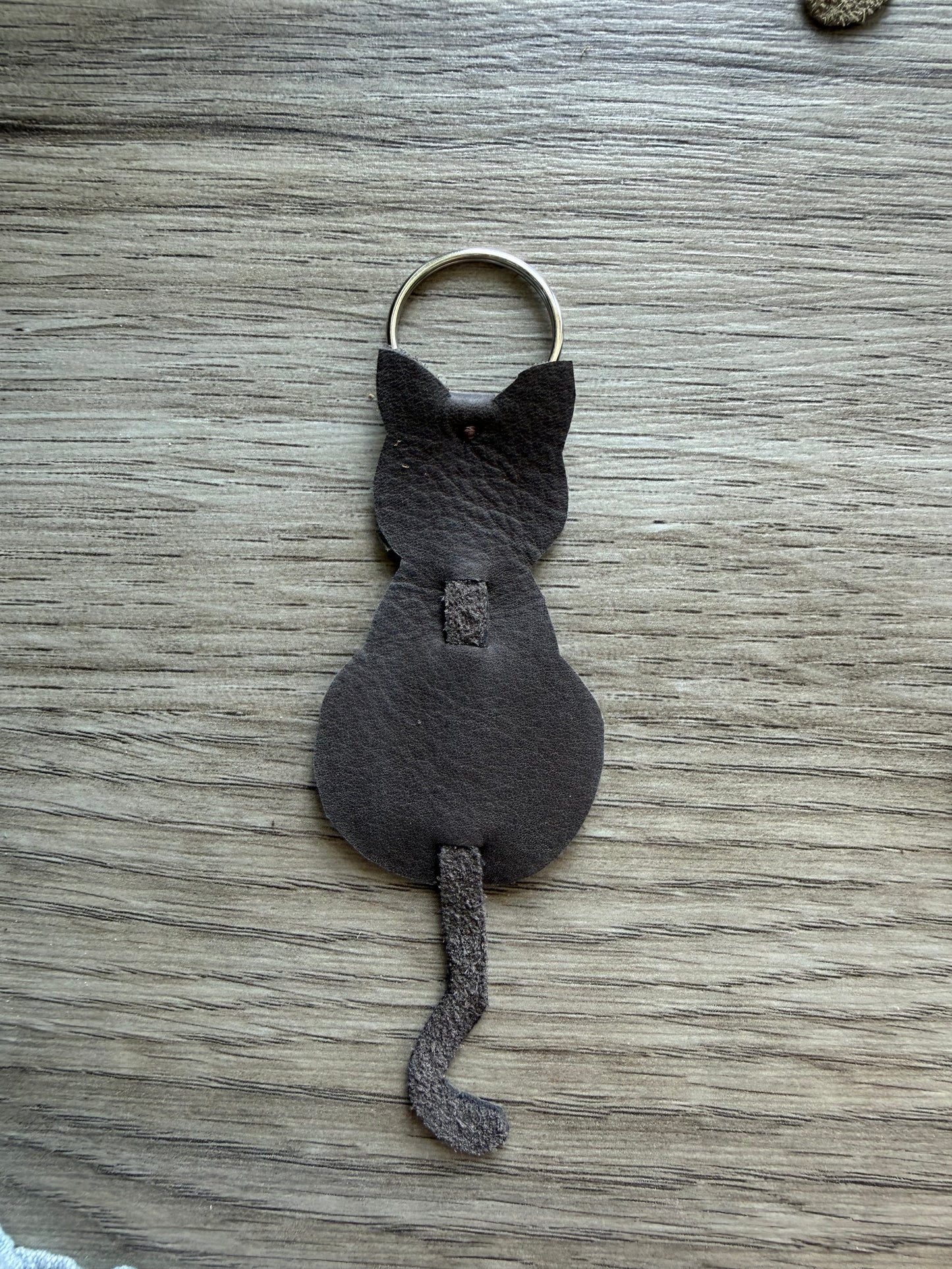 Katze